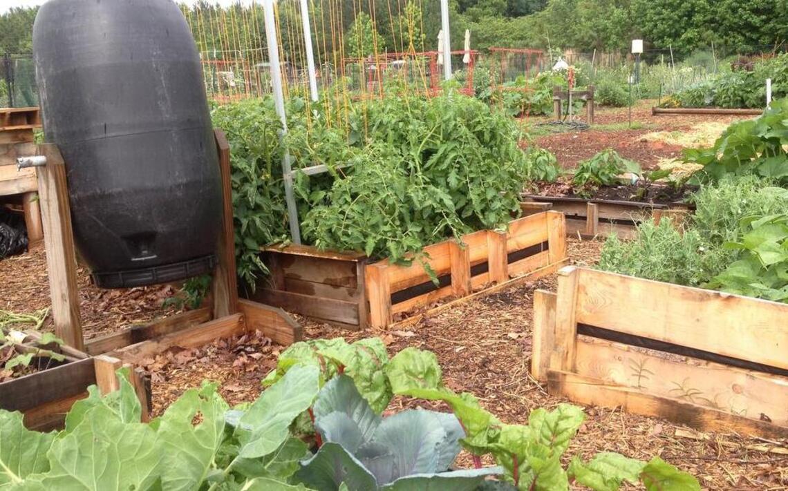 In Charlotte, the solstice is a good excuse for a garden celebration