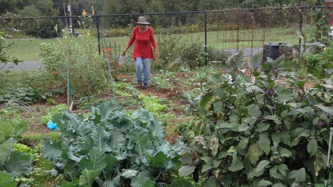 October is a month for change in the garden