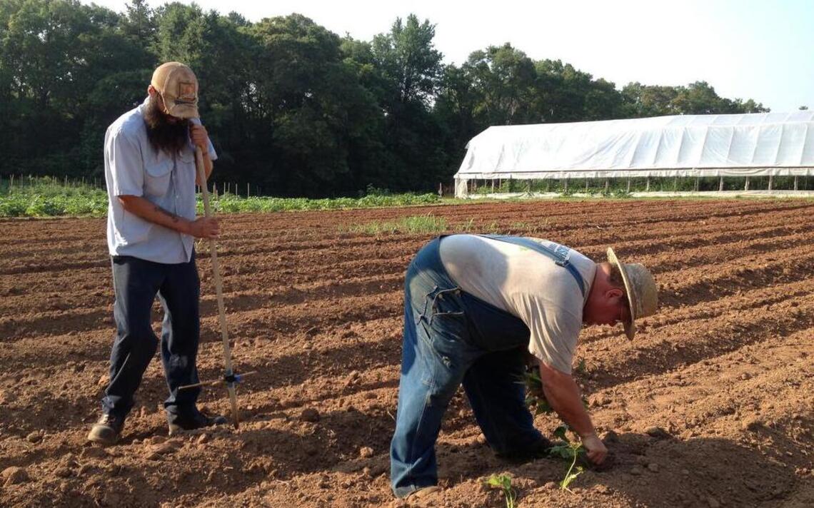 Garden guru returns to farming