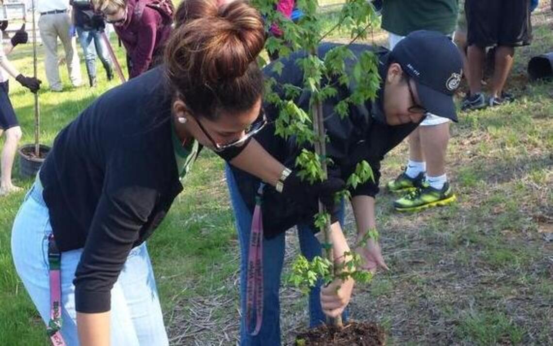 UNC Charlotte earns Tree Campus USA status