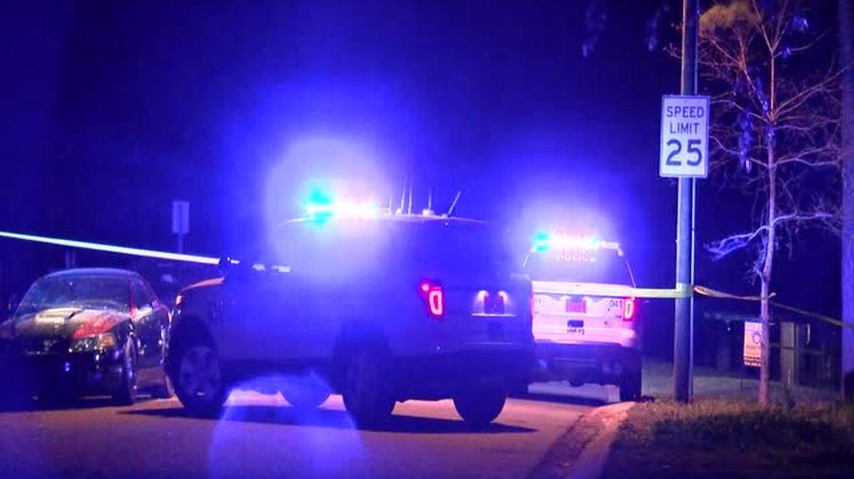 The shooting happened around 1:30 a.m. on Havenwod Road, off of Kilbourne Avenue.
