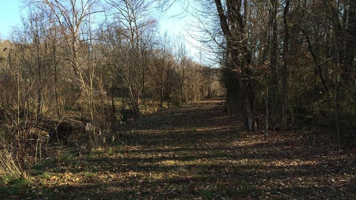 
The Ron Hare Nature Trail in north Charlotte will be dedicated Aug. 5.

