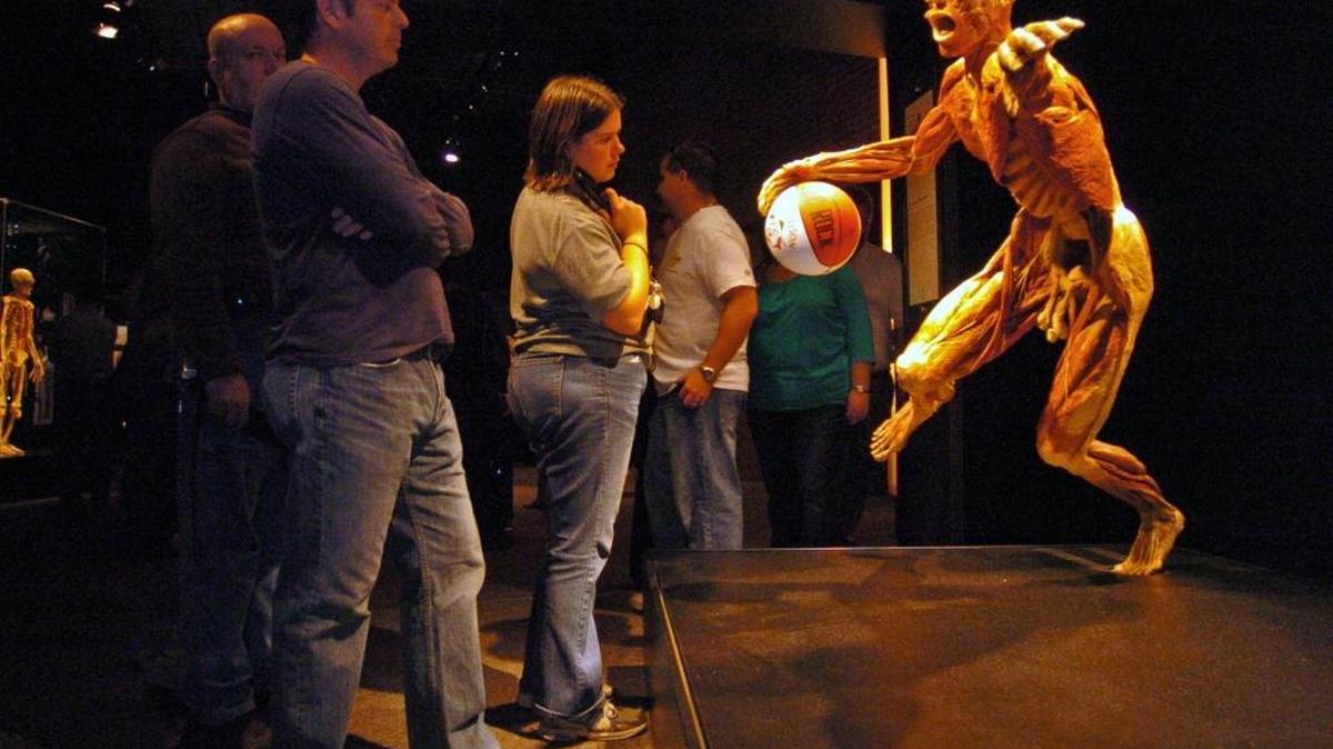 
Viewers take in a plastinated figure with a basketball during the first exhibition of “Body Worlds” in Charlotte.
