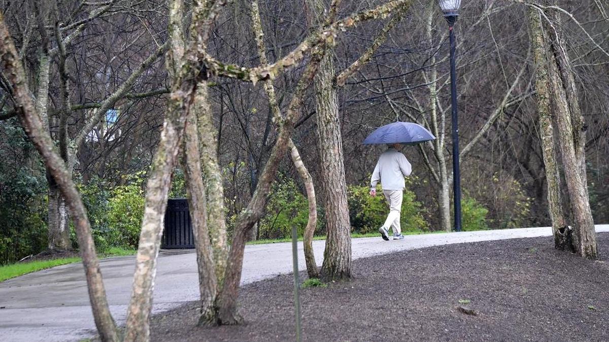 An on again, off again mist kept umbrellas in hand across Charlotte Sunday morning including around the lake at Freedom Park on Sunday, Dec. 27, 2015.