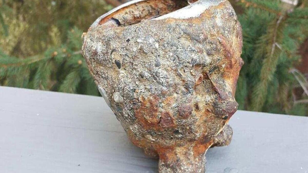 The “treasure” was found in late July by a of tourists who had taken a charter boat to Shelly Island.