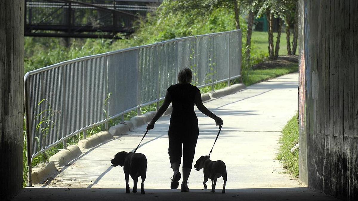 Rebecca Walker and her dogs Nayla and Lucy walk though the pedestrian tunnel at Frazier Park after playing in the new off-leash area of the uptown park in 2008.