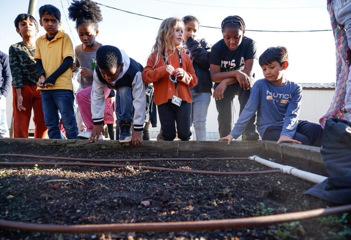Second-graders at CharlesH. Parker School in Charlotte inspect a garden bed before learning about different fruits and vegetables as part of a pilot program teaching kids and their families how to grow their own food.