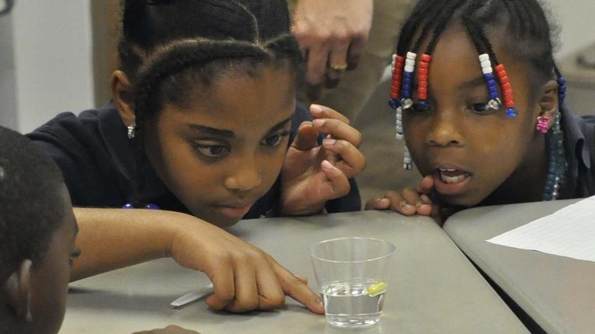 Sugar Creek Charter School serves mostly African American students from low-income homes.