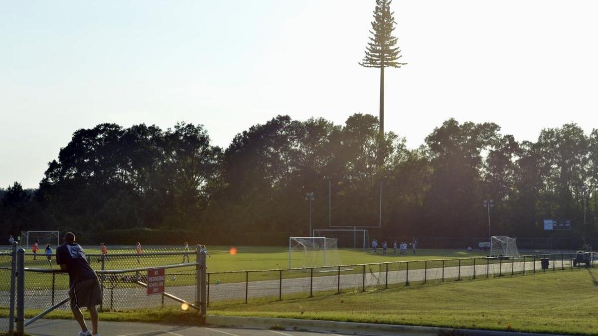 
This cell-phone tower on the grounds of J.M. Robinson Middle School is disguised (sort of) as a very tall tree.
