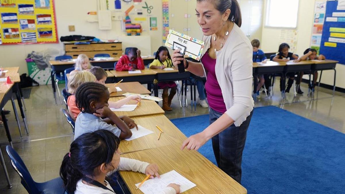 
Magnet programs like the International Baccalaureate program at Blythe Elementary will play a role in upcoming student assignment changes in Charlotte-Mecklenburg Schools.
