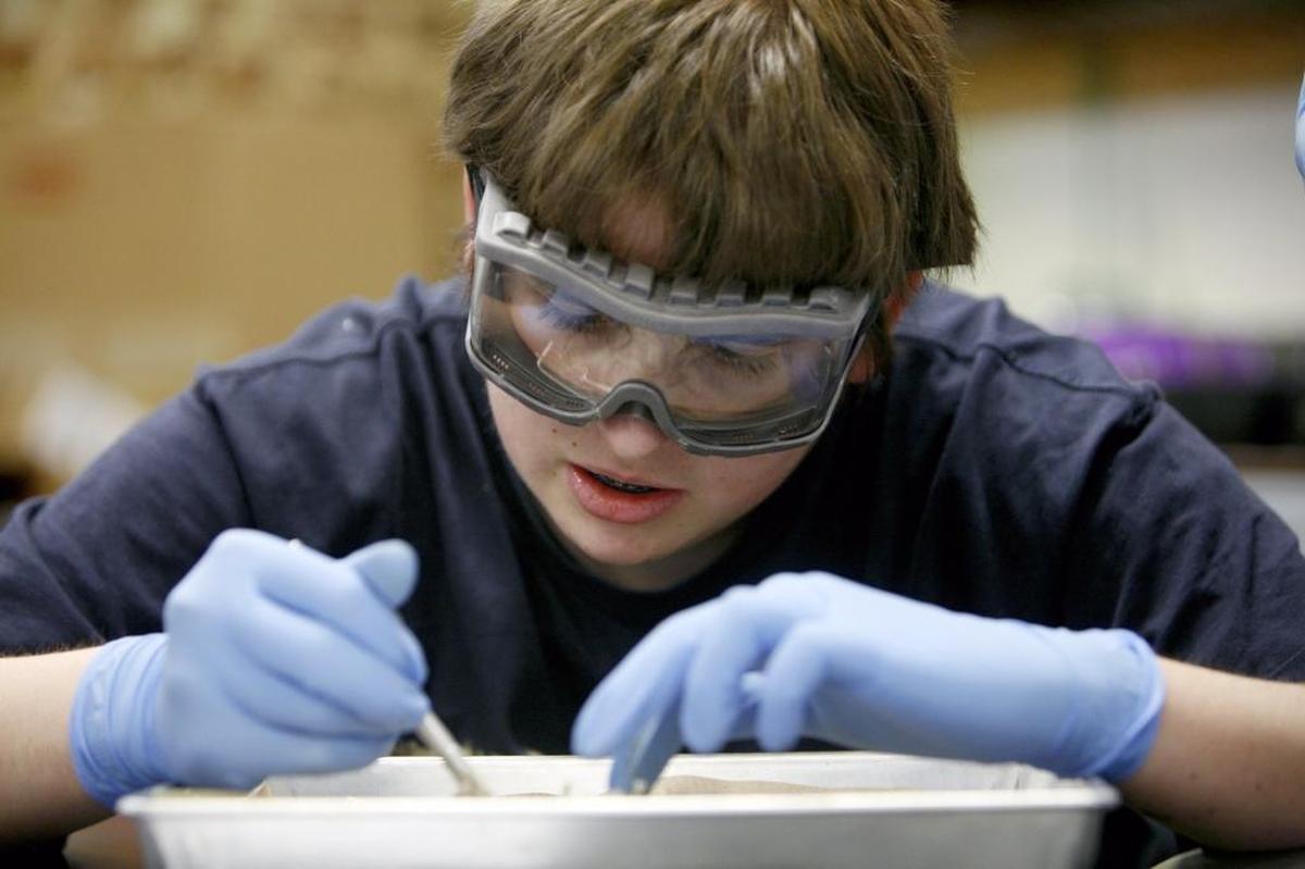A student dissects a frog at Raleigh Charter High School, which had Wake County’s highest rating on the on the 2017 U.S. News & World Report best high schools list.