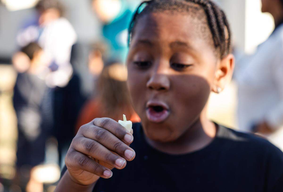 A student excitedly inspects a clove of garlic as they learn about different properties about fruits and vegetables at CharlesH. Parker School in Charlotte, NC on Thursday, December 12, 2024. A group of middle and high school students who have been learning about food deserts are piloting a program to teach kids about growing their own food.