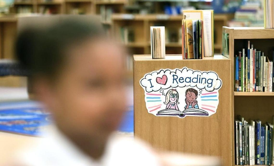 The media center at Nathaniel Alexander Elementary in Charlotte is just one place where students are surrounded by books. Each classroom also has a mini-library. North Carolina school districts must now post online the titles of all the books in classroom libraries.
