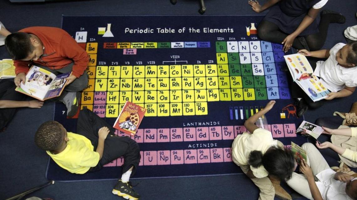 
Durham’s Reaching All Minds Academy charter school third graders in biotech teacher Valerie Chambers' class spend time reading about ecosystems in December. Charter schools could receive a larger share of public school funding under Senate legislation introduced Monday. 
