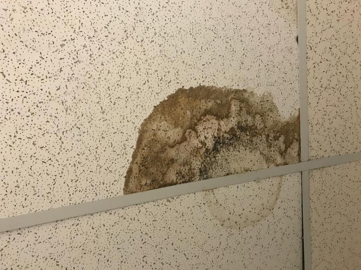 A water-damaged and possibly moldy ceiling tile identified as being in the girls’ locker room at Providence High.