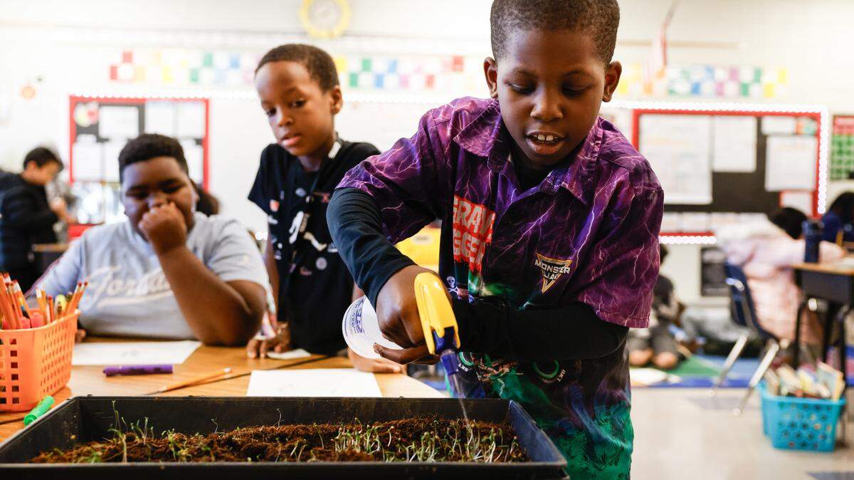 Second-grader Kawhi Crawford sprays water into a tray with sprouting seeds at Charles H. Parker School in Charlotte on Dec. 12. A group of middle and high school students who have been learning about food deserts are piloting a program to teach kids about growing their own food.