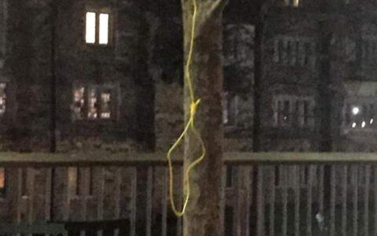 
A photo of a noose found hanging outside the main student center at Duke University early Wednesday. The photo was circulated via social media by the Duke POC caucus. 
