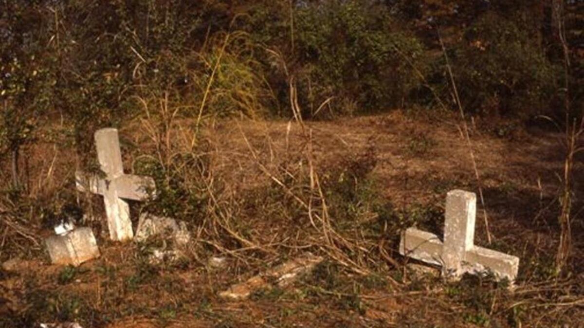 Biddleville Cemetery circa 1982 shows more natural settings of black cemeteries.