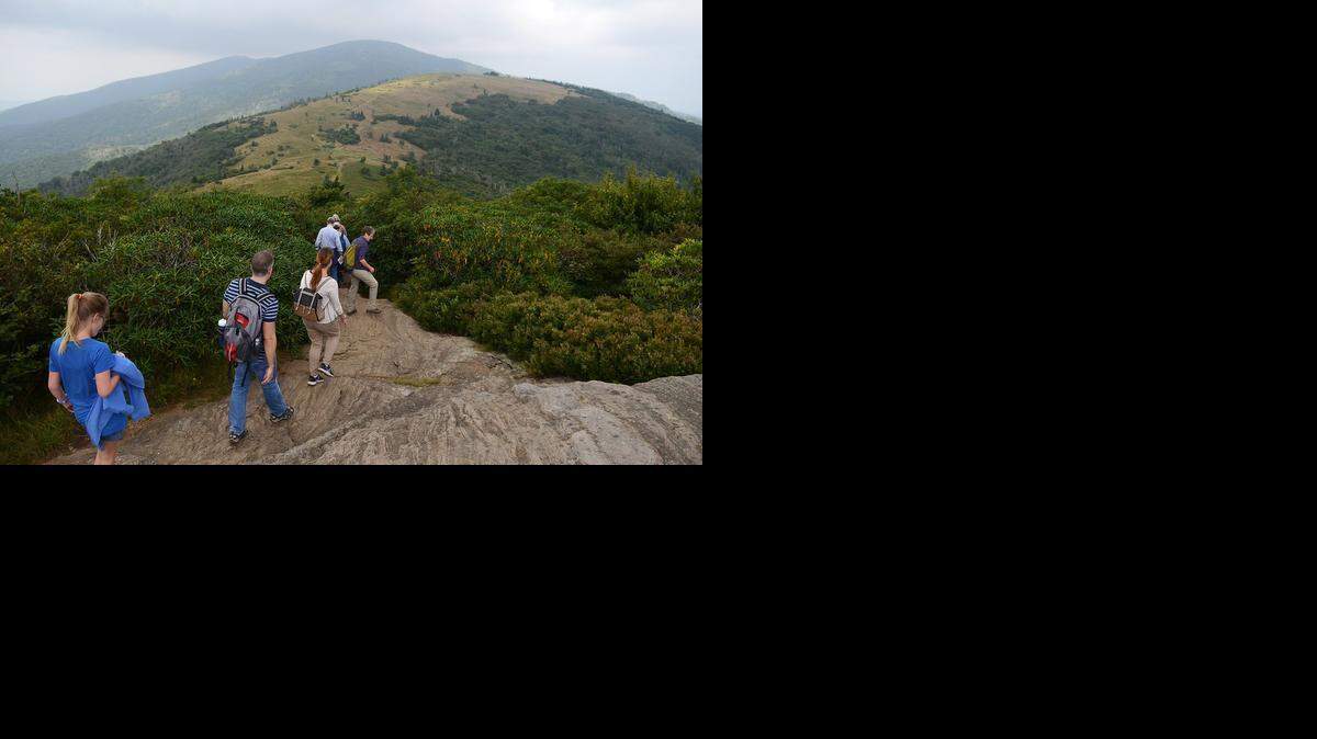 
Interior Secretary Sally Jewel stops to pick blueberries while descending Jane Bald in the Roan Highlands on Aug. 6, 2014.
