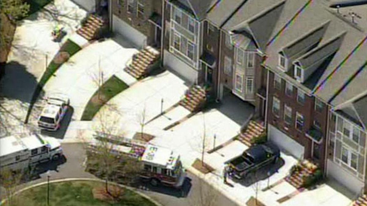 2 pitbulls that mauled an 84-year-old woman in south Charlotte to death have been euthanized, police said Thursday. Bessie Flowers was bitten by the dogs while apparently visiting a younger relative in a townhouse on Luke Crossing Drive in the Springs Valley subdivision, near the Arboretum shopping center.