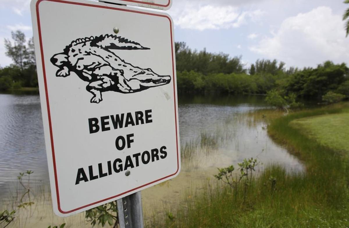 No one has clamored for a sign like this yet in the Charlotte area.