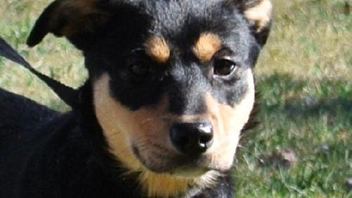 “I am 100 percent innocent and resent being stereotyped,” says Ruffy.