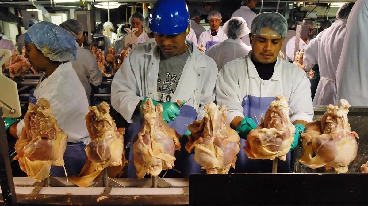 “Cruelest Cuts,” an Observer series in 2008, told of immigrants abused on the job within the state’s poultry industry.