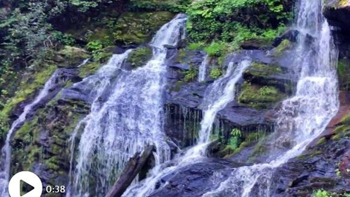 A Georgia man visiting North Carolina for a bachelor party died after falling off Upper Catawba Falls near Old Fort in the N.C. mountains on Saturday.