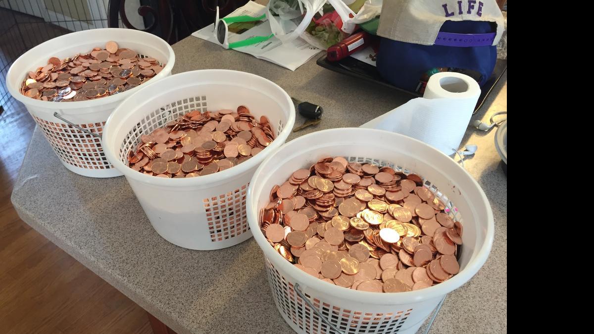 
The 1,100 pennies UNCC rising senior Stephen Coyle used to pay parking tickets weighed more than 60 pounds.

