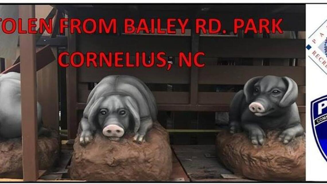 Someone stole 3 pig statues from Cornelius. The town hopes someone will squeal.