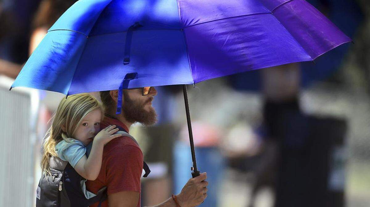 A man and child stay cool under the shade of a large umbrella Thursday, July 19, 2018, during the first day of The Peach Music Festival in Scranton, Pa. (Butch Comegys/The Times-Tribune via AP)