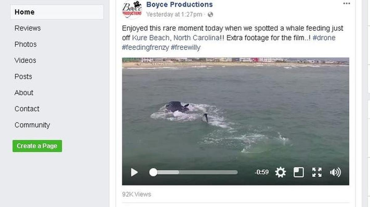 A video of a whale feeding just off shore in the N.C. town of Kure Beach has drawn nearly 92,000 views since a small videography company posted it on Facebook on Sunday.