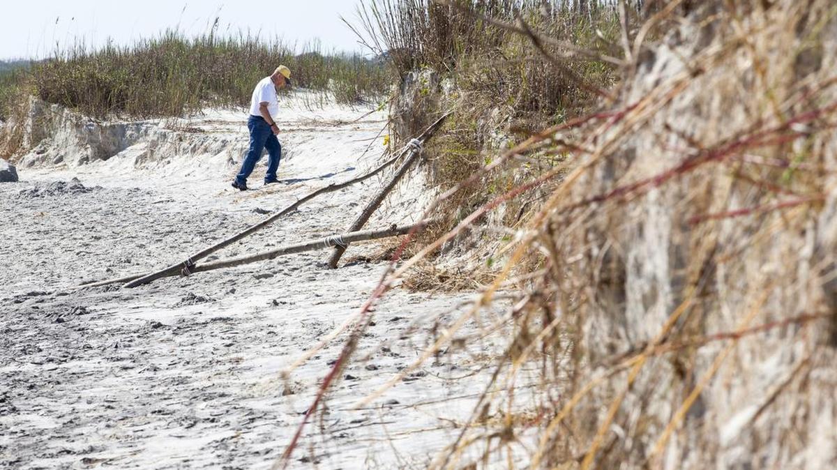 
A man makes his way between the eroded dunes of Pawley's Island. The King tides and stormy conditions this past month have taken their toll area beach, with erosion evident in many areas along the Grand Strand. Oct. 14, 2015.
