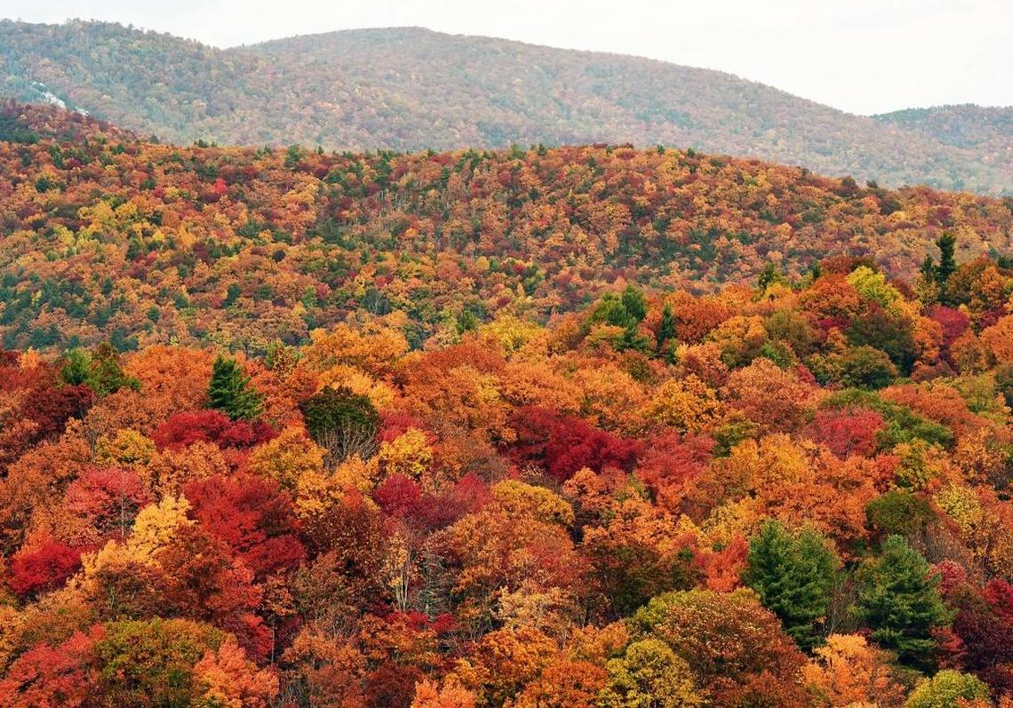 Trees along the ridges and valleys south of Blowing Rock, N.C. on Hwy 321 in this file photo.