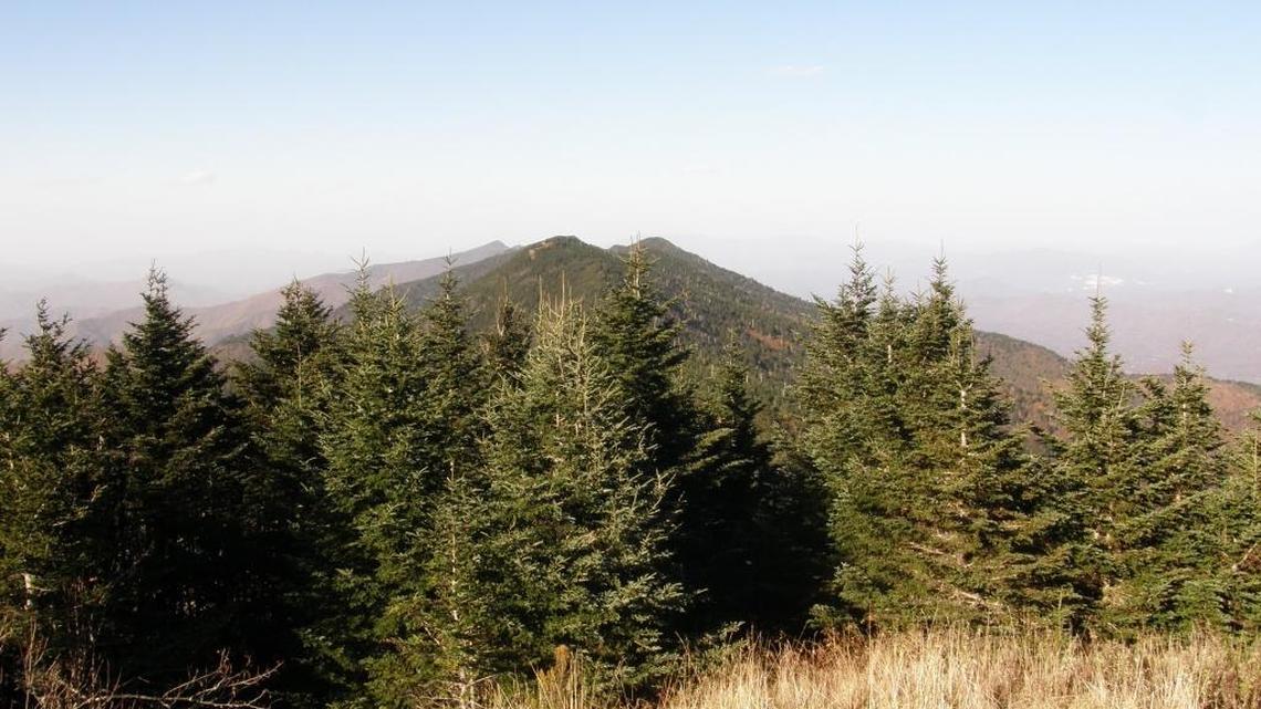 Mount Mitchell