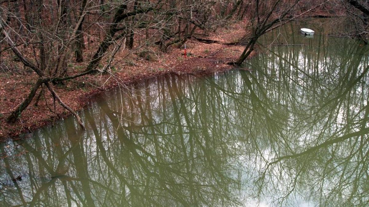 McDowell Creek in Mecklenburg County.