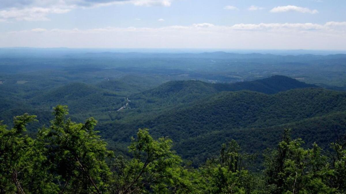 The Blue Ridge Parkway was the scene of a fatal shooting on Tuesday.