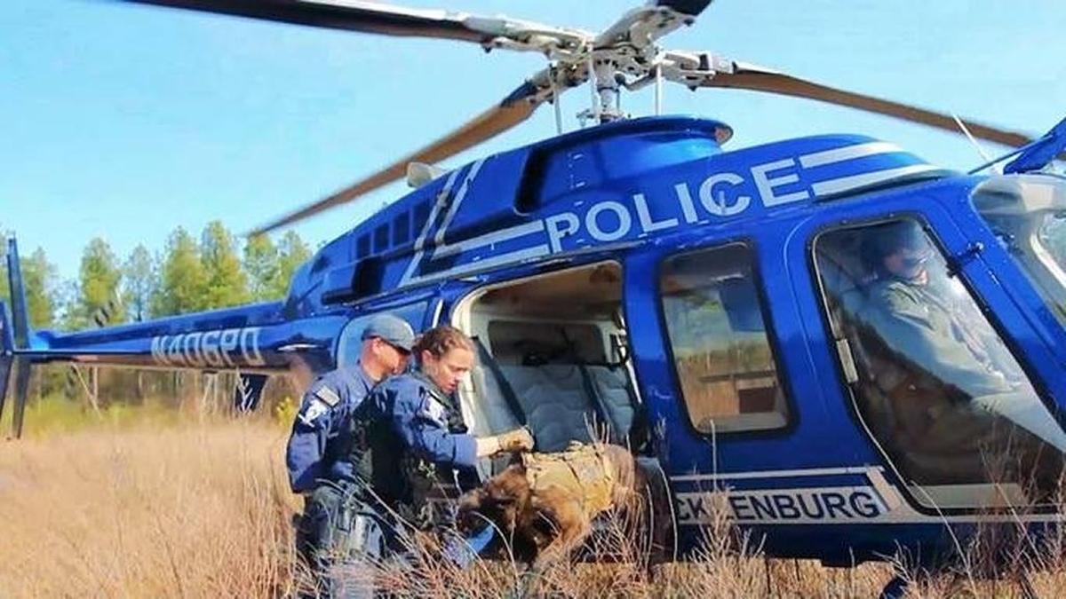 CMPD Officer Emily Acker-Estes and her K9 partner “go to all the hot calls, the big calls, everywhere in the city. We’re not stuck in one division; we have a lot of flexibility. But there’s a lot of pressure to do what they call us for, which is: Find the criminal.”