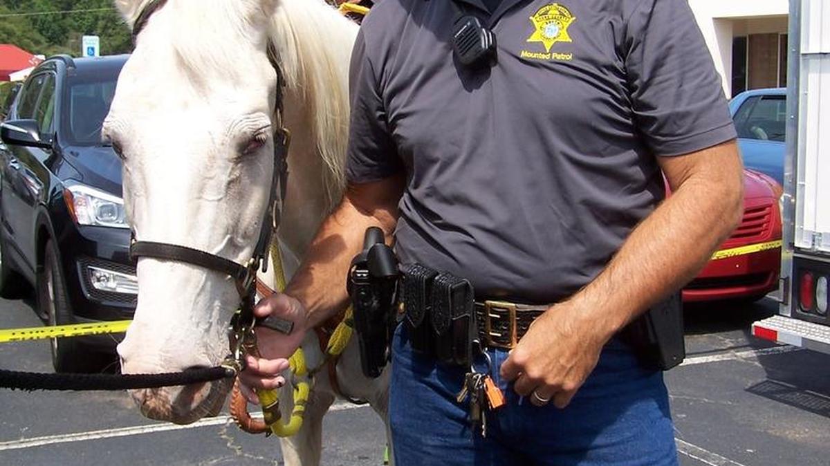 York County Deputy Mark Rodenhauser, a member of the department’s mounted patrol, was injured Wednesday.