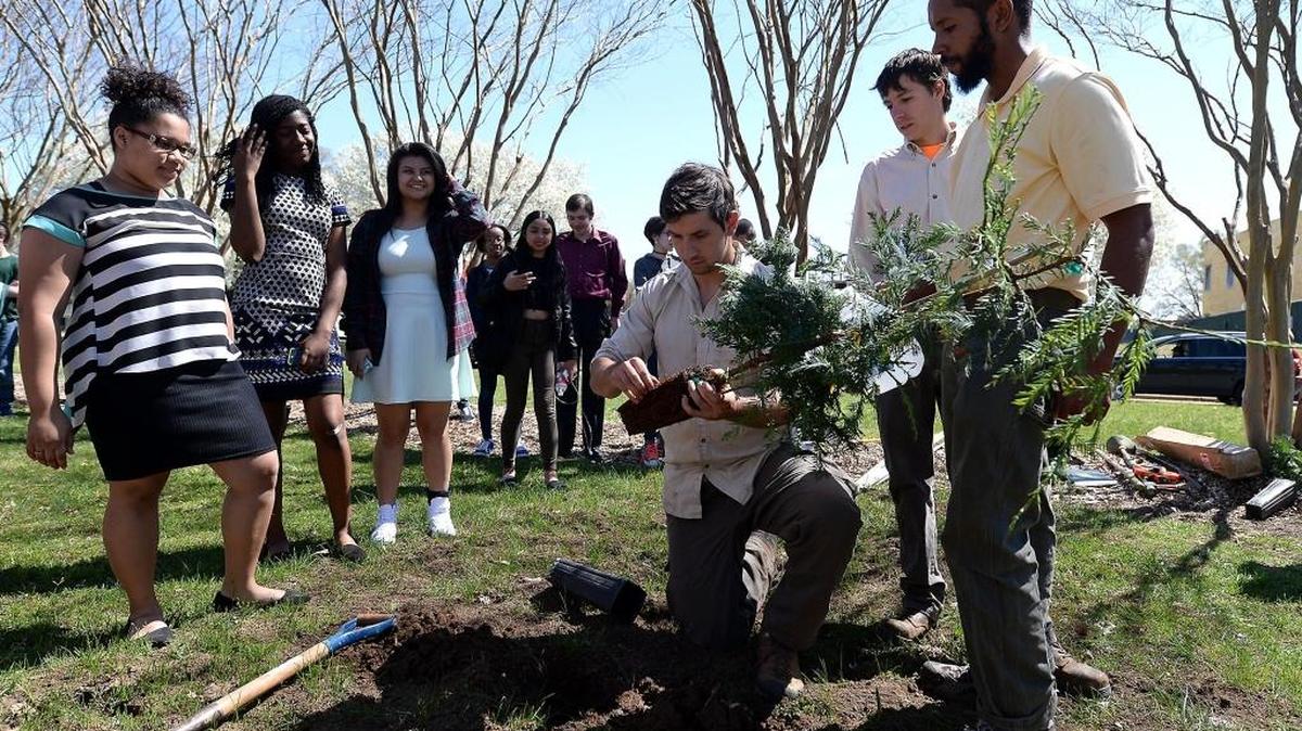 (L-R) Heartwood Tree employees Jesse Zastrow, Matthew Bothe and Santigie "Tig" Kavia explain how to plant one of the three cloned Sequoia redwoods to Olympic High students on Friday, March 18, 2016. Biology teacher Paul Greenleaf's class at Olympic has been learning about cloning genetics, plant hormones and tree conservation. To celebrate Arbor Day on Friday, three Sequoia cloned trees one from the famous Fieldbrook and Ryan stumps and a stump from a tree that had survived negative temperatures were planted.