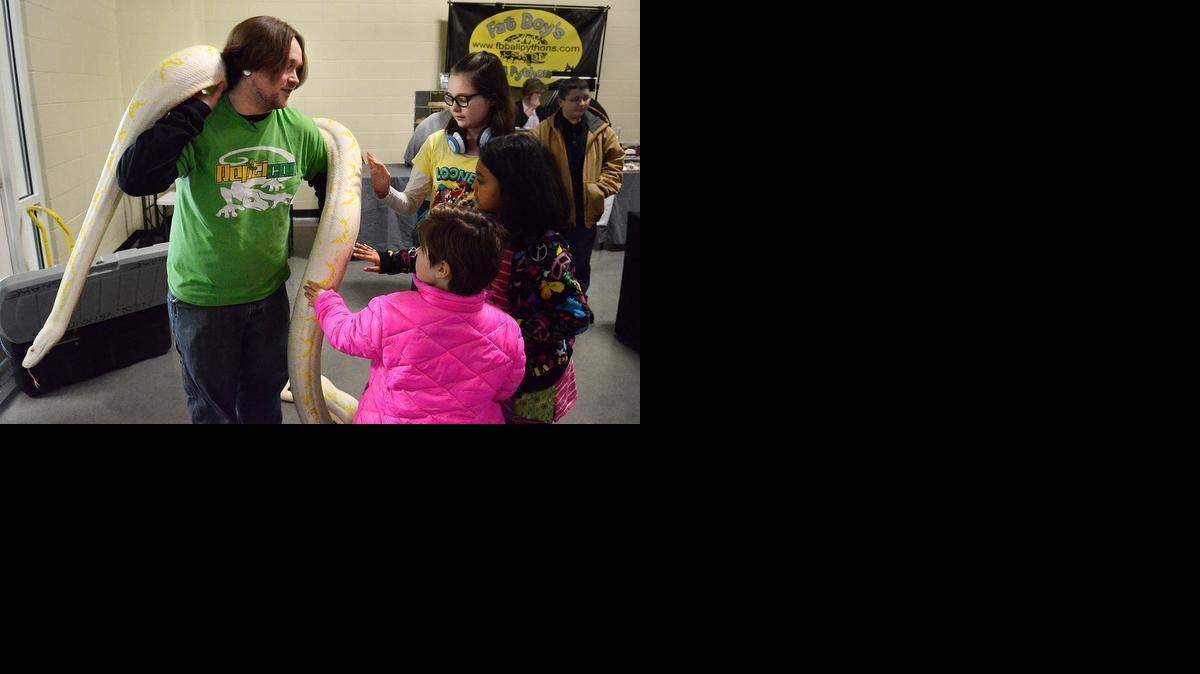 
 Danny Steele, with the Repticon staff, holds his 14-15 ft, 140 lb. reticulated python for the Isenhour family, of Concord, to pet. About 40 exhibitors showed and sold lizards, geckos, chameleons, snakes, frogs, sugar gliders, birds and related supplies at the Charlotte Repticon Show at the Cabarrus Arena in Concord on Saturday February 28, 2015.
