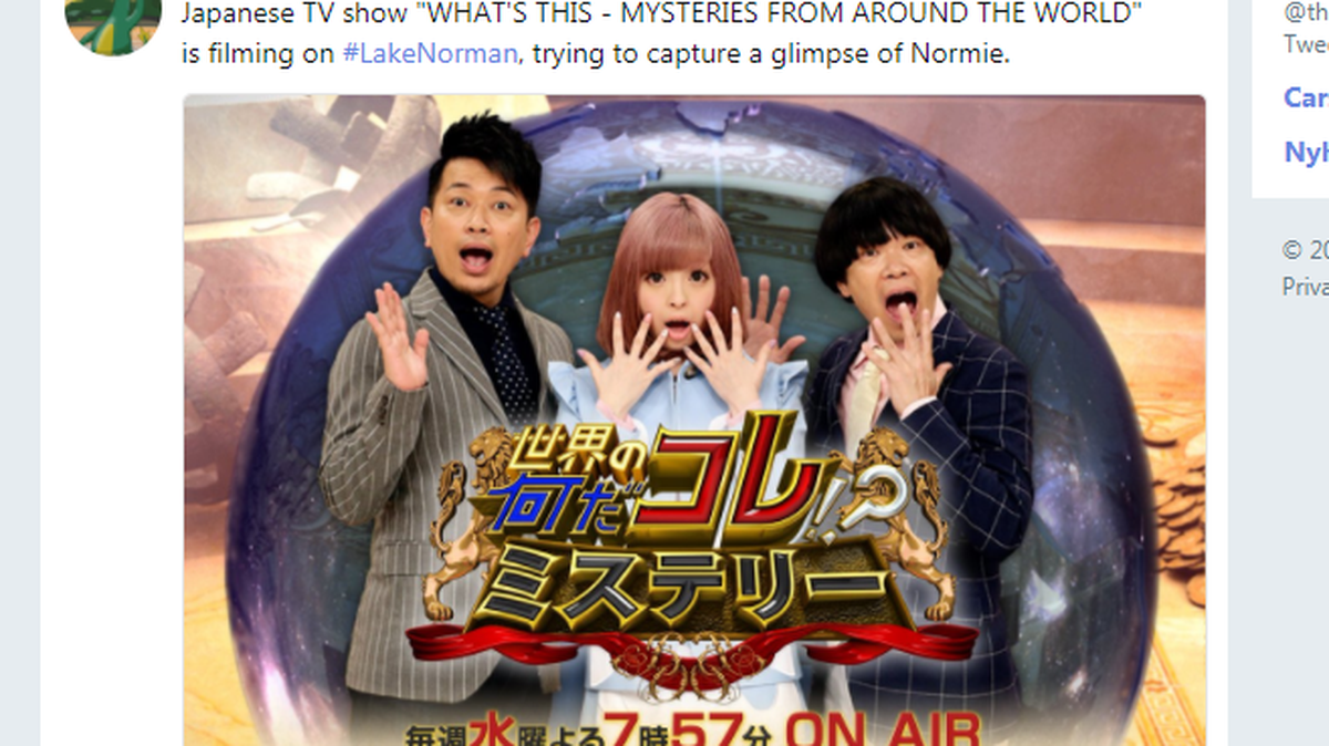 These are the hosts of that Japanese TV show that tried to capture the Lake Norman monster, according to Twitter.
