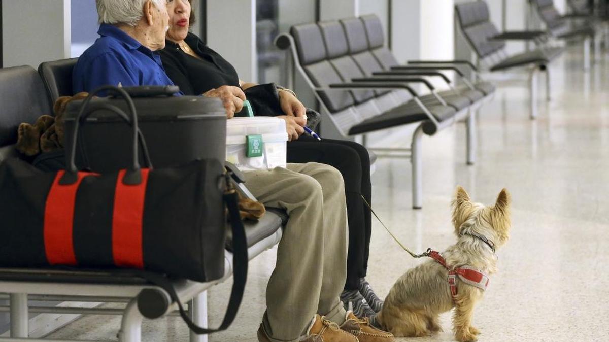 Delays likely at Charlotte Douglas as Irma’s wind and rain moves close, says the FAA.