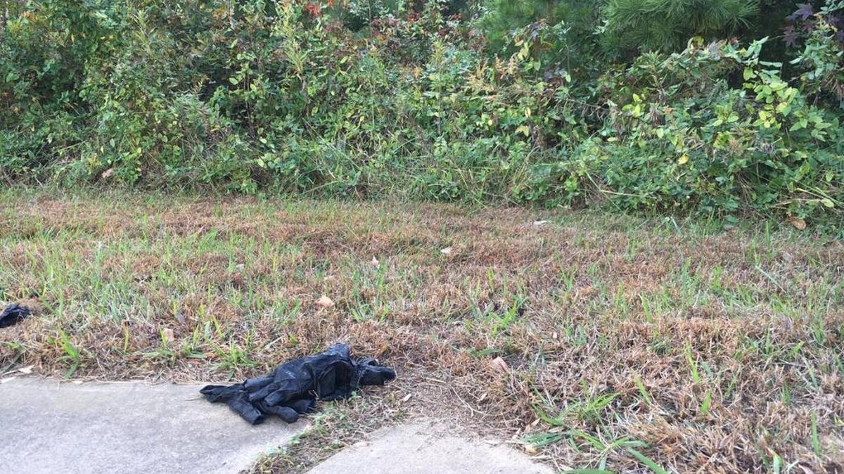 The body of a missing person was found in a wooded area Wednesday in Rowan County.