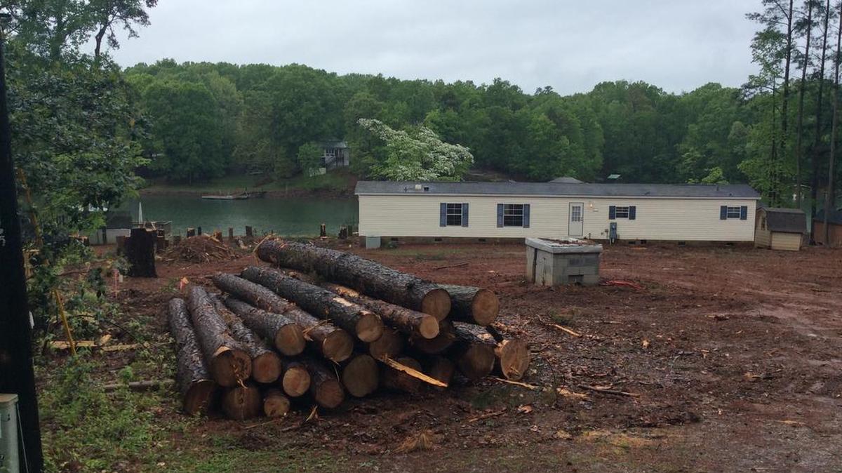 The state is ordering a Lake Norman property owner along Oak Tree Road in Mooresville to replace the trees cleared.