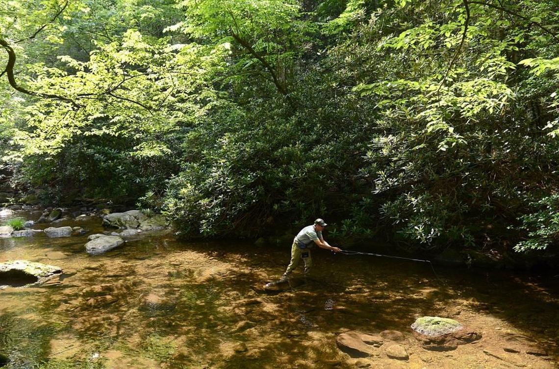 A fisherman drifts a trout fly through a small pool on the Jacob Fork River in South Mountains State Park.