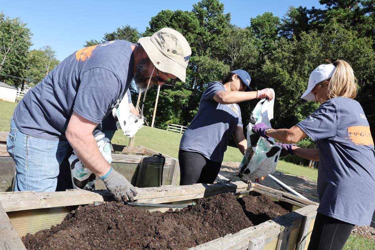 From left, Scott Ohrman, Sneha Jagadeesh and Jennifer Grosskopf pour dirt into a raised flower bed Thursday, Oct. 2, 2025 in Charlotte. The volunteers were working at an urban farm run by The Park Community Development Corporation