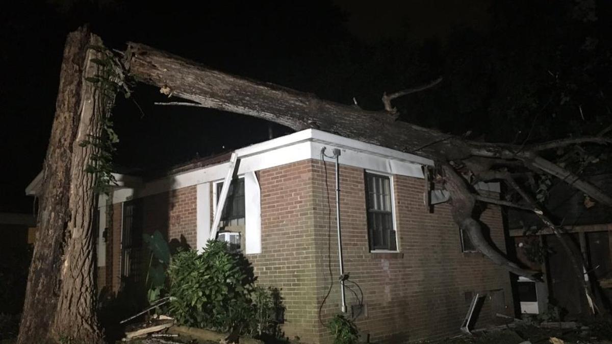 This tree fell across a northeast Charlotte home over night.