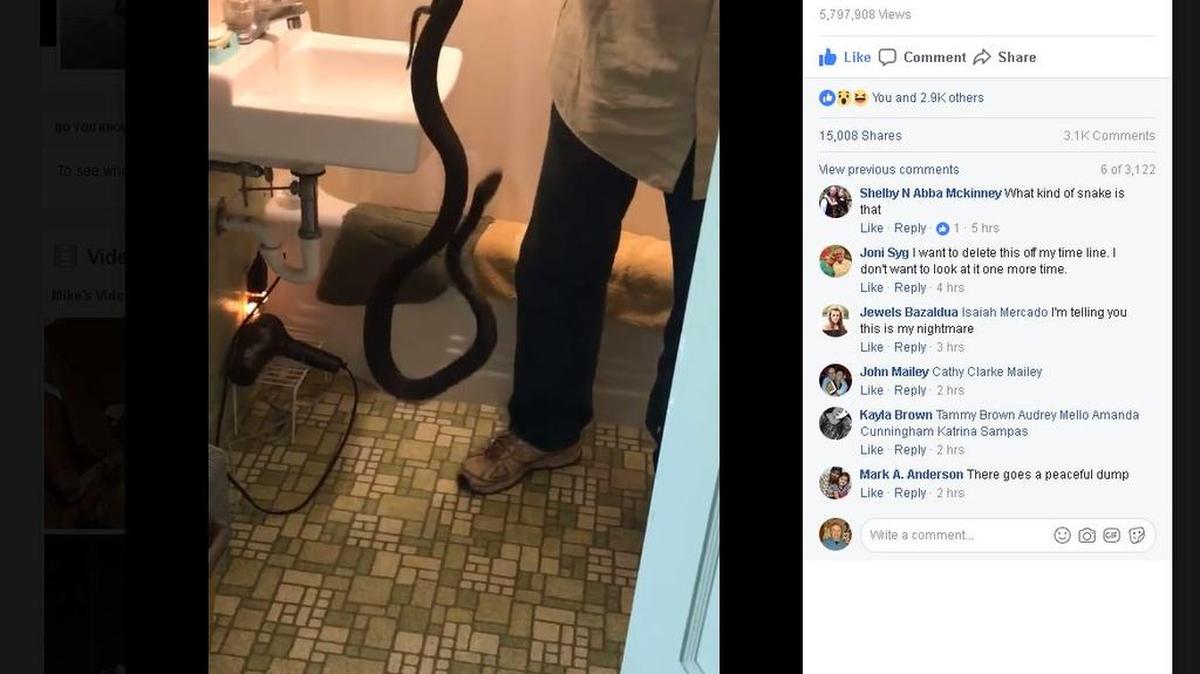 Cleveland County resident Mike Greene’s Facebook video of him pulling a 6-foot snake from his elderly neighbor’s toilet has gone viral, with nearly 5.8 million views.