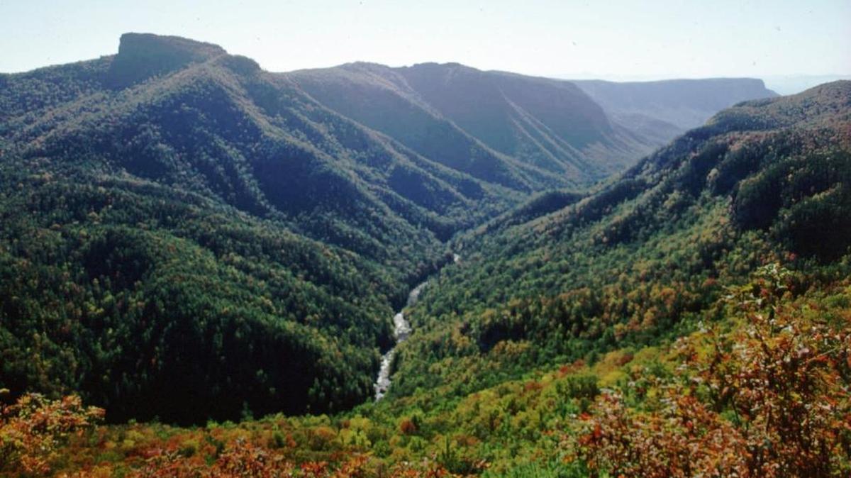 
The Linville River cuts a deep and scenic gorge along the Blue Ridge Parkway. 
